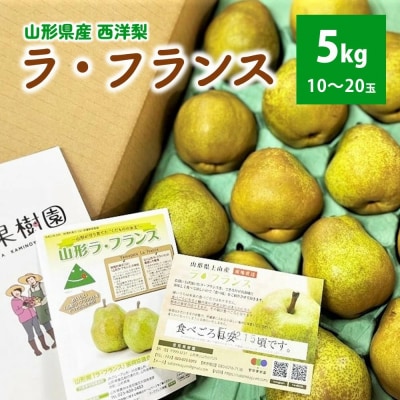 西洋梨(ラフランス)5kg　10～20玉　ご家庭用　0079-2617