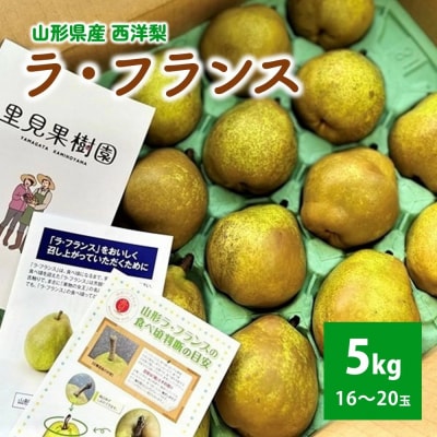 西洋梨(ラフランス)5kg　16～20玉　0079-2618