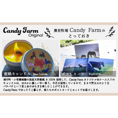 天然蜜蝋100%手作り「キャンドル」&馬たちの「ポストカード」セット[39-1122]
