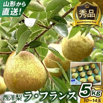 西洋梨(ラフランス)5kg　10～14玉　0079-2619