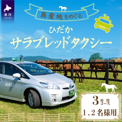 馬産地をめぐる「ひだかサラブレッドタクシー」3時間(1,2名様)コース[41-1102]