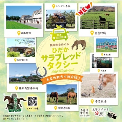馬産地をめぐる「ひだかサラブレッドタクシー」3時間(1,2名様)コース[41-1102]