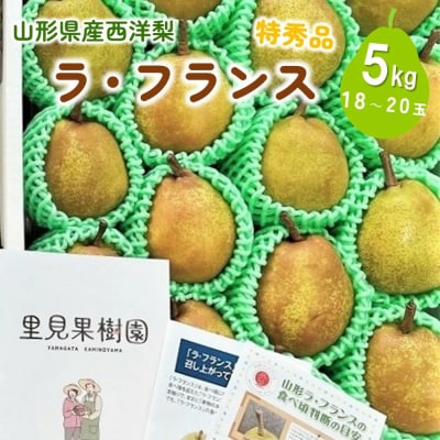 西洋梨(ラフランス)5kg　18～20玉　特秀品　0079-2620