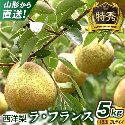 西洋梨(ラフランス)　5kg　16玉　特秀品　0079-2621