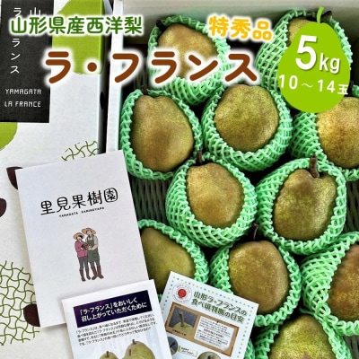 西洋梨(ラフランス)5kg　10～14玉　特秀品　0079-2622