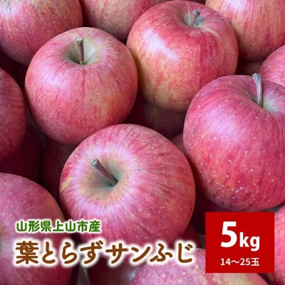 有機肥料栽培　葉とらずサンふじ　上山市産　5kg　14～25玉　ご家庭用　0079-2624