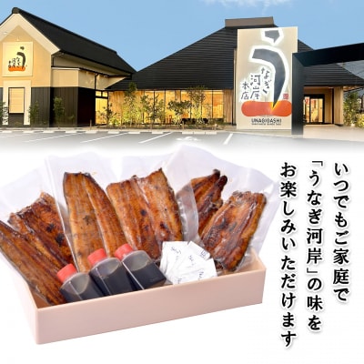うなぎ河岸本店 【国産】 鰻蒲焼き 3尾 山椒/タレ付