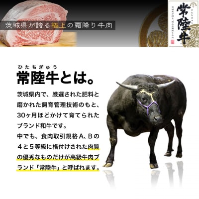【茨城県共通返礼品】WO-29Butchers 常陸牛 ヒレステーキ 300g