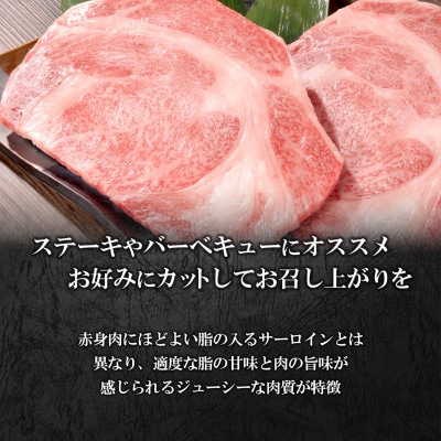 【茨城県共通返礼品】WO-29Butchers 常陸牛 リブロースステーキ 600g