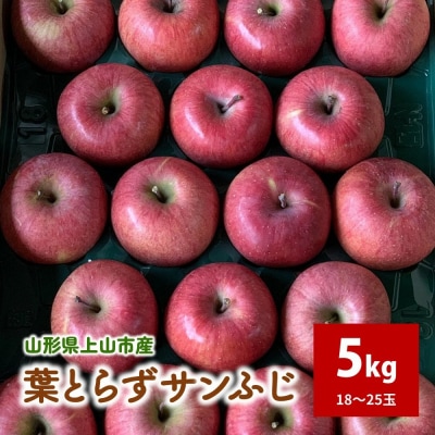 有機肥料栽培　葉とらずサンふじ　上山市産　5kg　18～25玉　秀品　0079-2625
