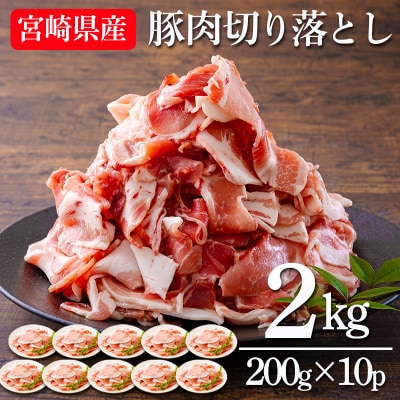 宮崎県産豚肉の切り落とし(2kg)　TF553