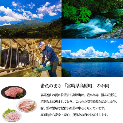 宮崎県産豚肉の切り落とし(2kg)　TF553