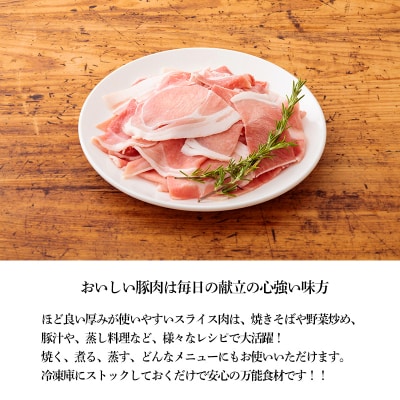 宮崎県産豚肉の切り落とし(2kg)　TF553