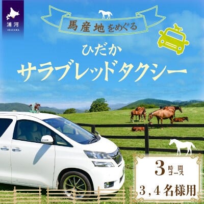 馬産地をめぐる「ひだかサラブレッドタクシー」3時間(3,4名様)コース[41-1103]