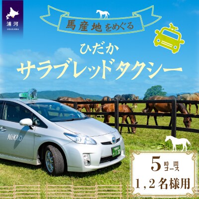 馬産地をめぐる「ひだかサラブレッドタクシー」5時間(1,2名様)コース[41-1104]