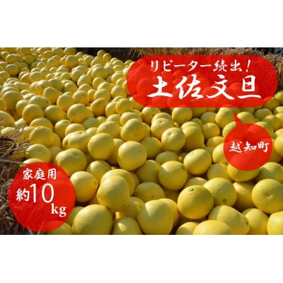 【先行予約 2027年2月～発送】森下さん家の土佐文旦 10kg 家庭用 フルーツ 果物 柑橘 文旦