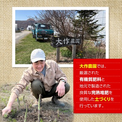 【2027年発送】大作農園のカラフルミニトマト約2kg(5種以上) SBTR012