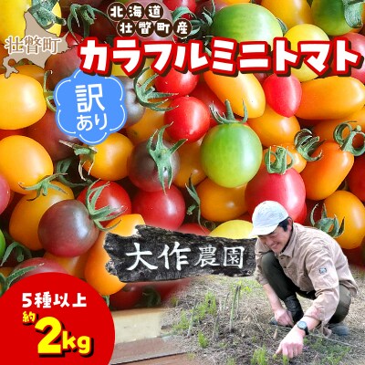 【2027年発送】【訳あり】大作農園のカラフルミニトマト約2kg(5種以上) SBTR013