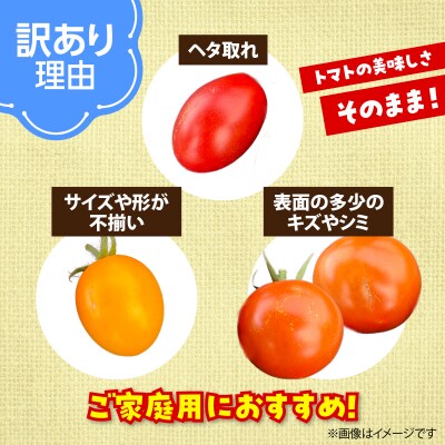【2027年発送】【訳あり】大作農園のカラフルミニトマト約2kg(5種以上) SBTR013