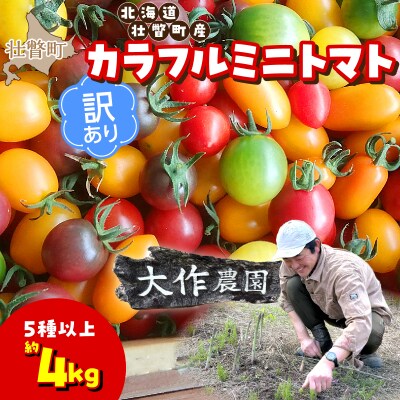 【2027年発送】【訳あり】大作農園のカラフルミニトマト約4kg(5種以上) SBTR015