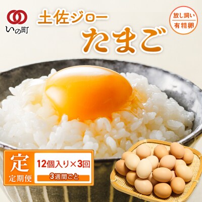 【定期便】土佐ジローたまご(12個入)×3回　約3週間毎に1回