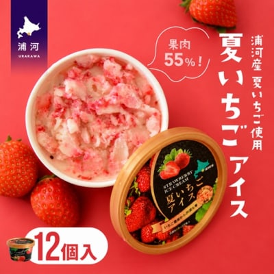 果肉55%「夏いちごアイス(12個)」[22-237]