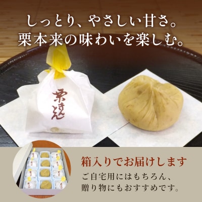 秋冬限定 地元産の栗 栗きんとん 12個入り 老舗和菓子 松栄堂