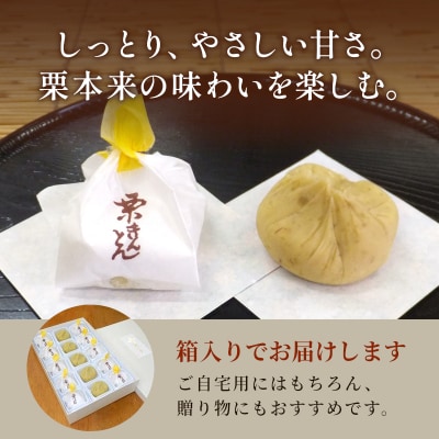 秋冬限定 地元産の栗 栗きんとん 15個入り 老舗和菓子 松栄堂