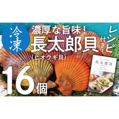 冷凍 ヒオウギ貝 16個セット ホタテの仲間  真空パック BBQ 海鮮【R00803】