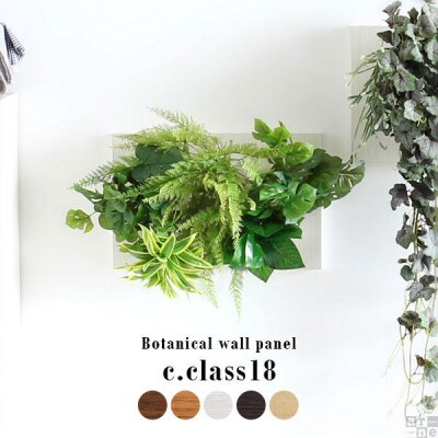 Botanical c.class 18　北欧チーク