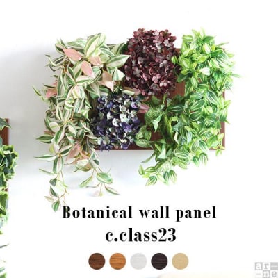 Botanical c.class 23　ブラウン