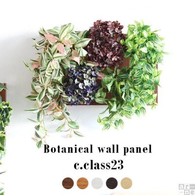 Botanical c.class 23　北欧チーク
