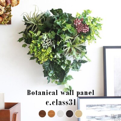 Botanical c.class 31　ブラウン