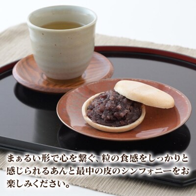 竹うちもなか 小豆 10個入 最中 秋田銘菓 お菓子のくろまる|01_krm-27a101