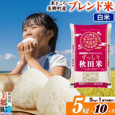 《定期便10ヶ月》ブレンド米【白米】精米 5kg(5kg×1袋)|01_ssn-010510h