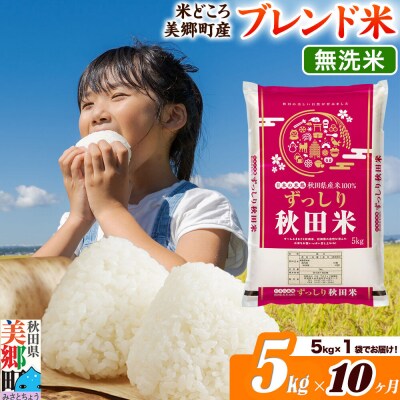 《定期便10ヶ月》ブレンド米【無洗米】精米 5kg(5kg×1袋)|01_ssn-010510m