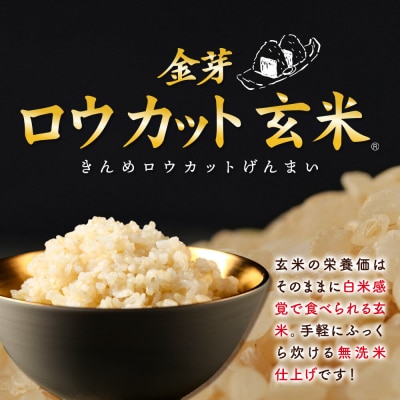 【令和7年産 玄米】金芽ロウカット玄米 無洗米 サキホコレ 4kg|01_tyr-020401
