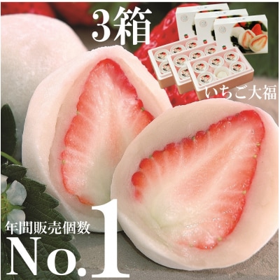 【先行予約】午前0時のいちご大福6個入3箱