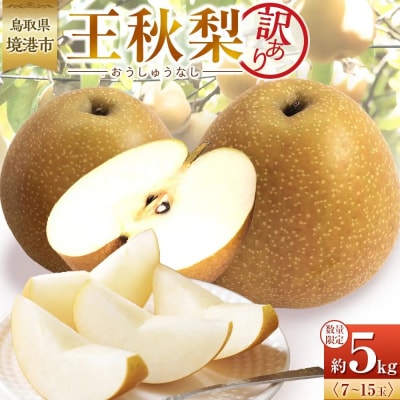訳あり 数量限定 鳥取県産 王秋梨(おうしゅうなし) 約5kg (7～15玉)