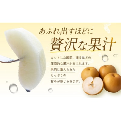 訳あり 数量限定 鳥取県産 王秋梨(おうしゅうなし) 約5kg (7～15玉)