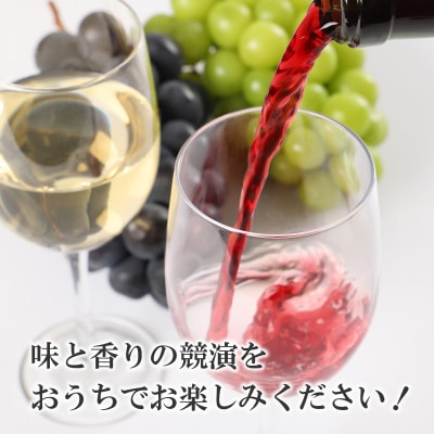 甲府ワイン4種類飲み比べセット　K06113-D