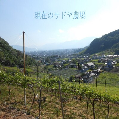 「甲府のワイナリー」山梨県産赤ワイン2本セット(K4)K04024-C