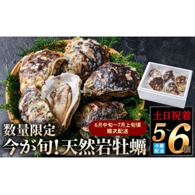 <土日祝着>【先行予約!6月中旬～7月上旬頃順次配送】今が旬!天然岩牡蠣(5～6個)