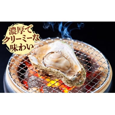 <土日祝着>【先行予約!6月中旬～7月上旬頃順次配送】今が旬!天然岩牡蠣(5～6個)