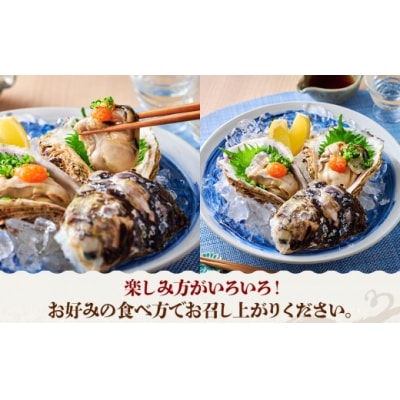 <土日祝着>【先行予約!6月中旬～7月上旬頃順次配送】今が旬!天然岩牡蠣(5～6個)