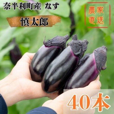 奈半利町の茄子 【慎太郎】40本 131002