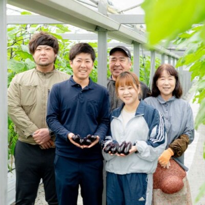 奈半利町の茄子 【慎太郎】40本 131002