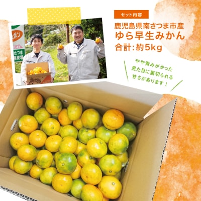 温州 ゆら早生 みかん 約5kg [9月発送開始] 柑橘フルーツ 果物 鹿児島県産