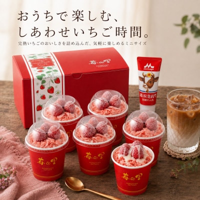 苺の里　いちごのけずりミニ6個セット
