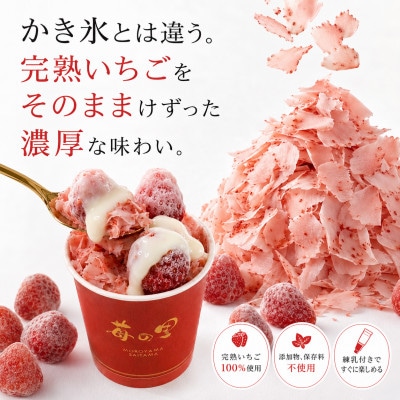 いちごちゃん 新品 送料込 イナータス ソルクラウデーレ 3本 苺の里 いちごのけずりミニ6個セット | 埼玉県毛呂山町 | ふるさと納税